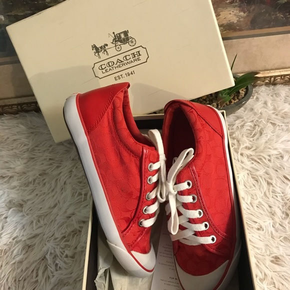 Sneakers - Picture 1 of 3